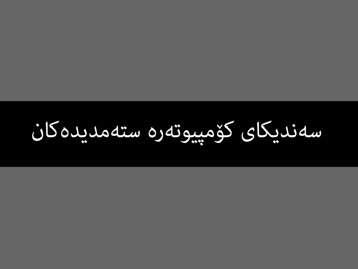 سەندیکای کۆمپیوتەرە ستەمدیدەکان