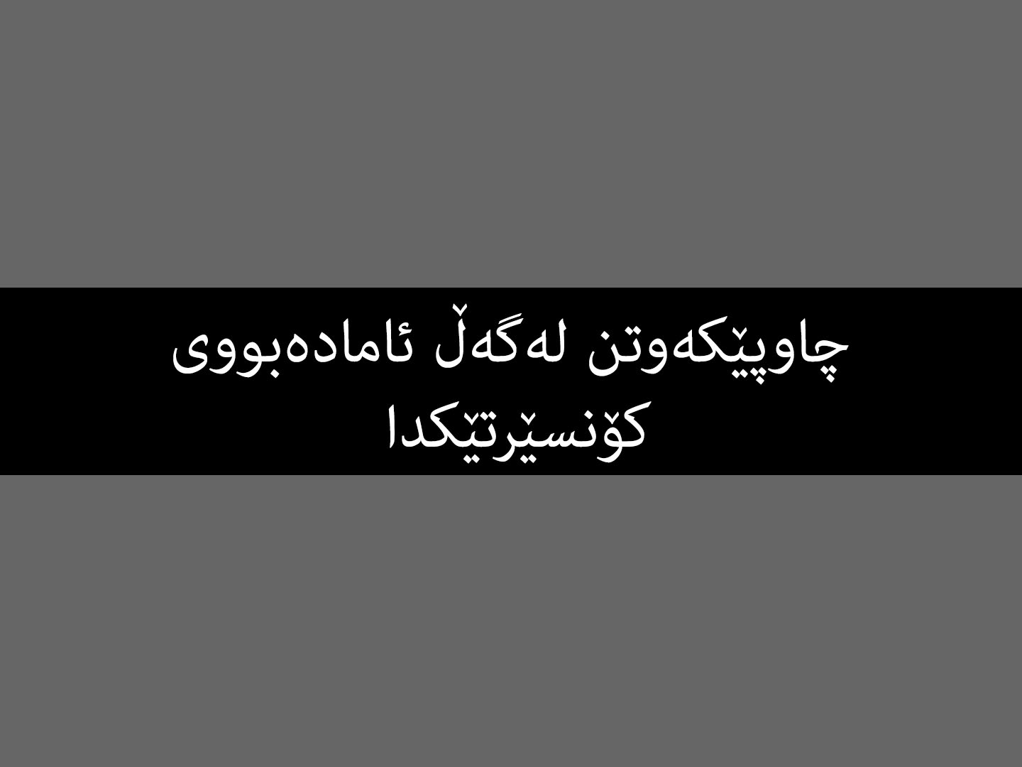 چاوپێکەوتن لەگەڵ ئامادەبووی کۆنسێرتێکدا