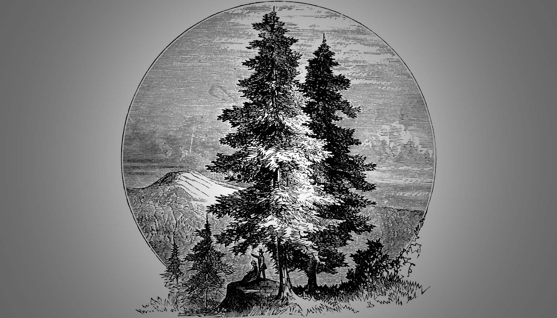 خۆشەویستی هەمیشەیی